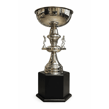 Copa Ref. Nacional 10