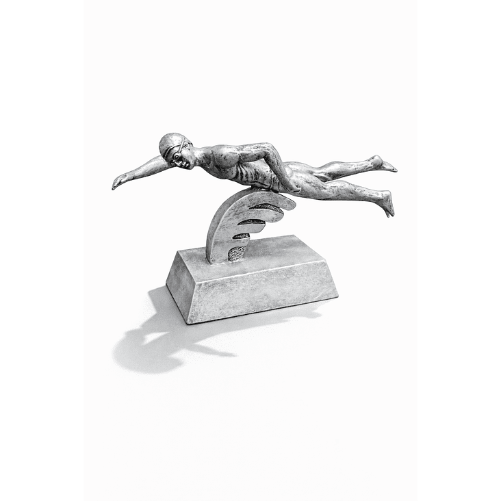 Trofeo Resina Natación