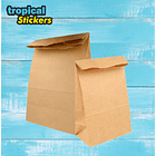 Saco Papel Kraft s/ Asa 2