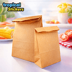 Saco Papel Kraft s/ Asa 1