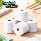 Rodillo Térmico (80x60x11) 1