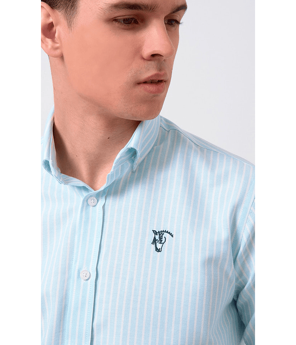 CAMISA OXFORD CALABRIA