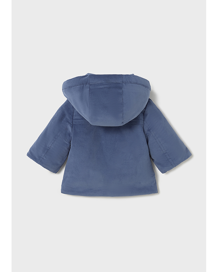 Canadiana microbombaz.