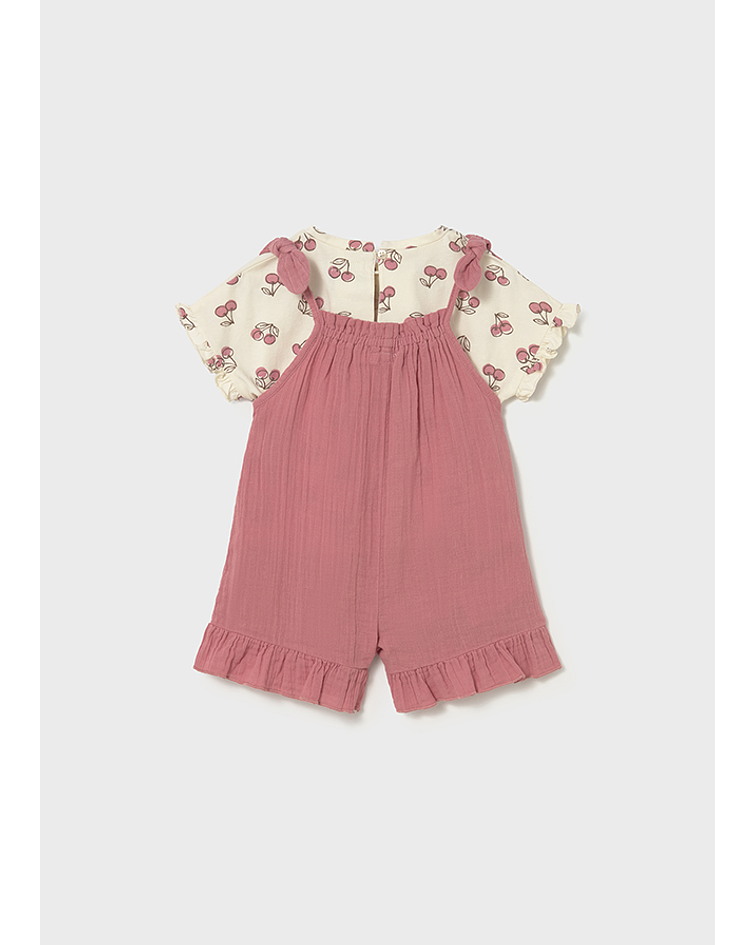 Conj. jardineira e camiseta