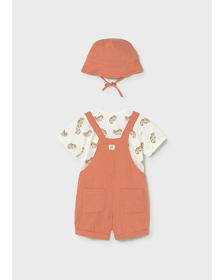 Conj. jardineira 3 peças