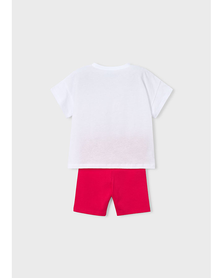 Conj. leggings de ciclismo