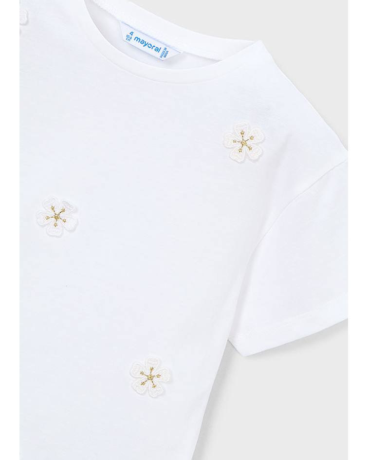 Camiseta aplicações