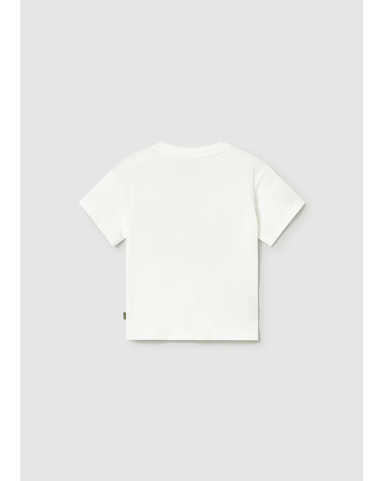 Camiseta aplicações