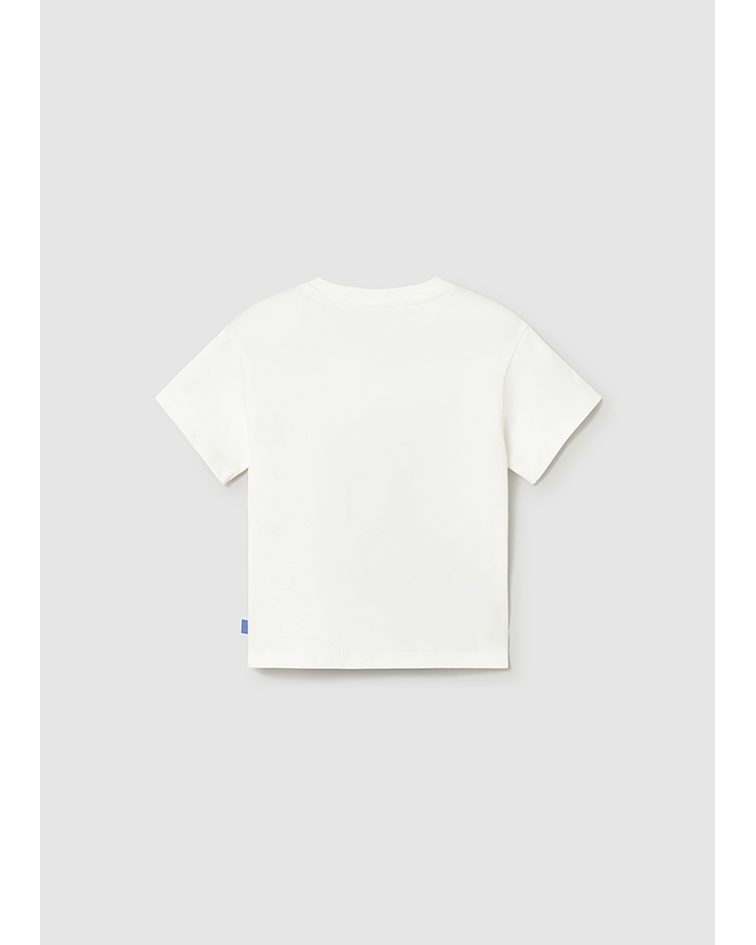 Camiseta aplicações