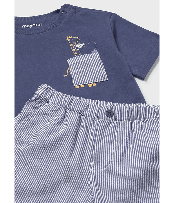 Cnj. bermuda seersucker