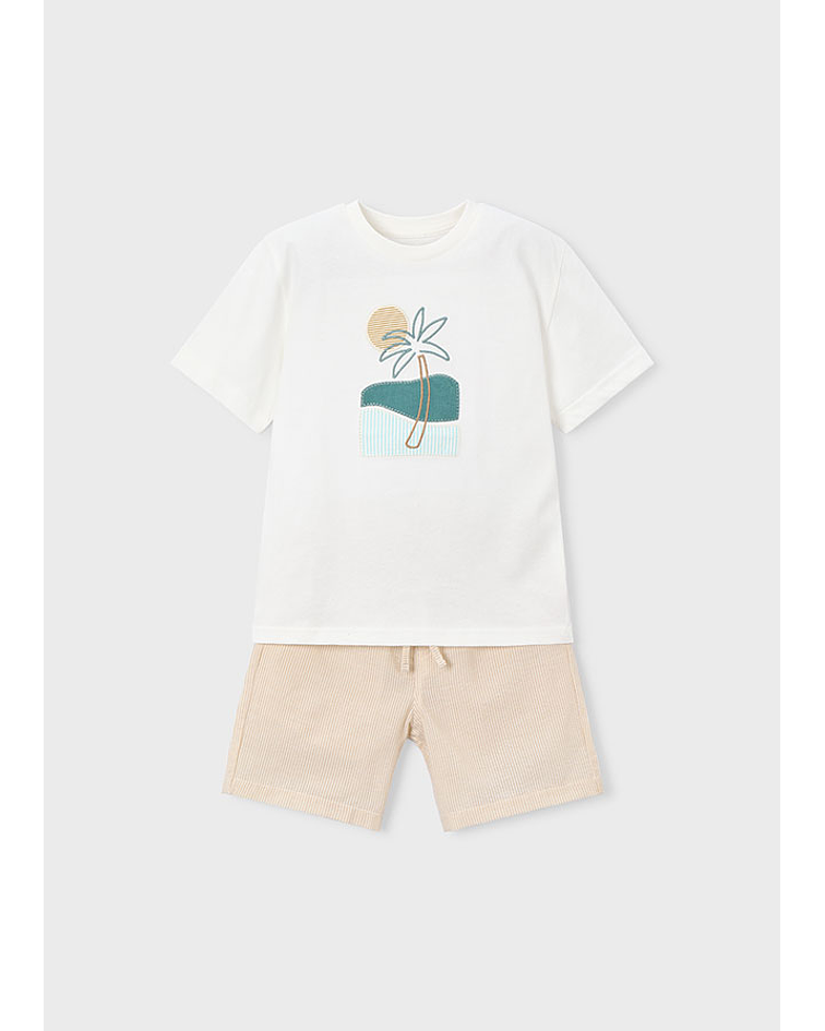 Cnj. bermuda seersucker