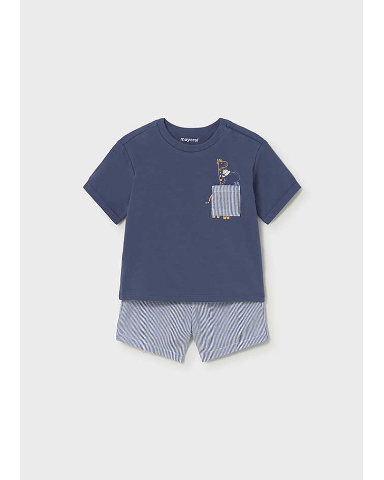 Cnj. bermuda seersucker