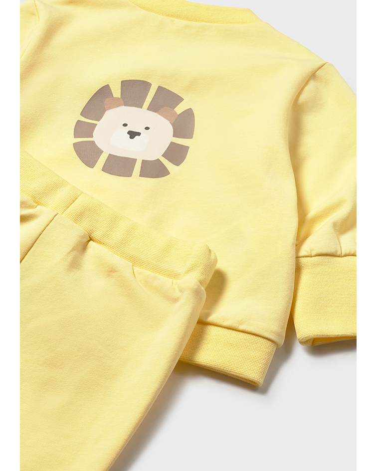 Fato treino 3 peças body