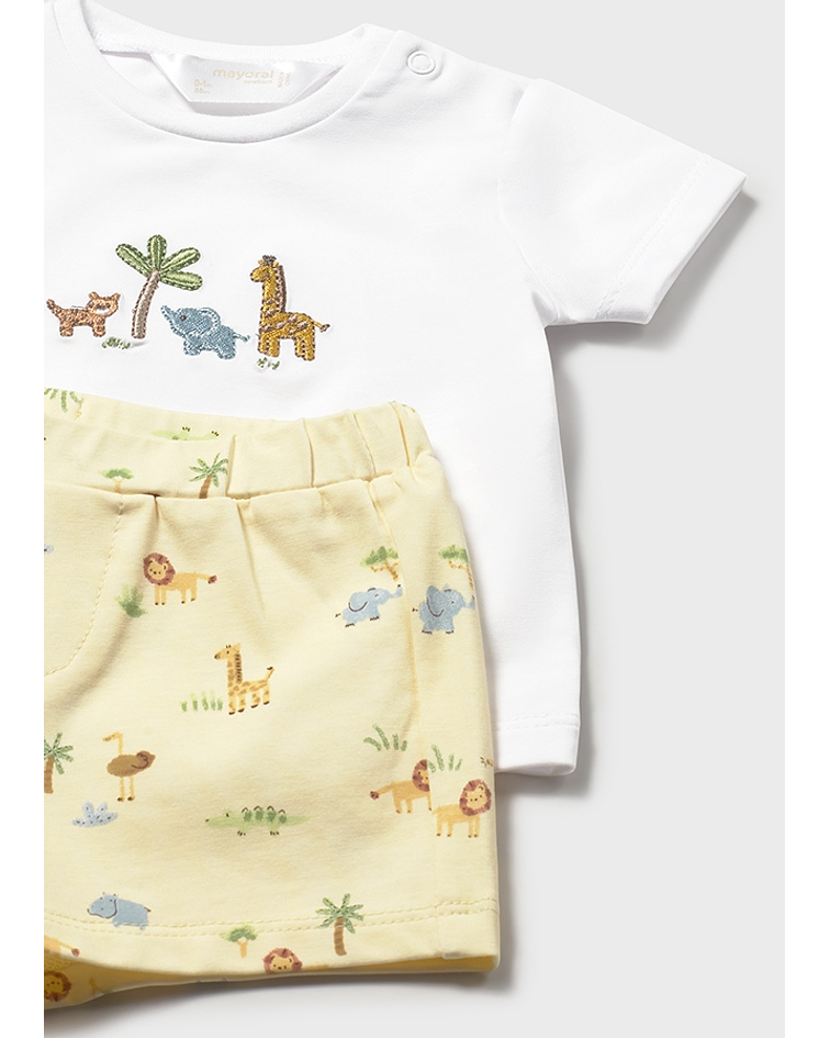 Conj. malha 4 peças