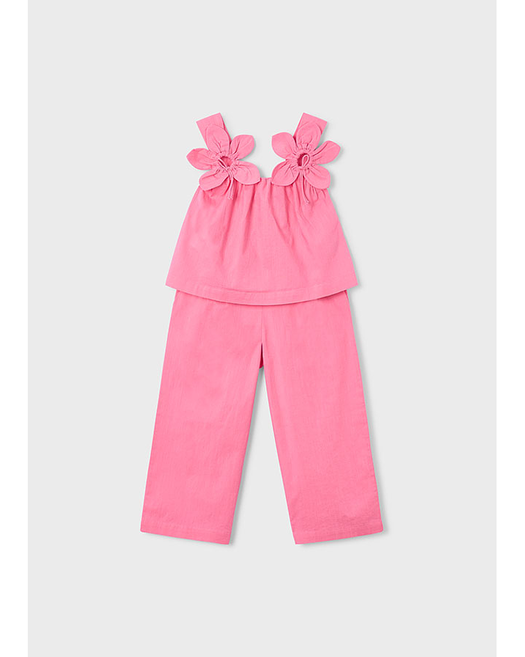 Conj. calças comp c/ apliques