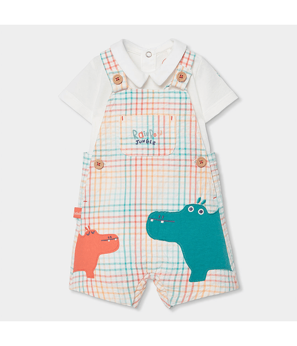 Conjunto combinado do bébé -BCI | quadros