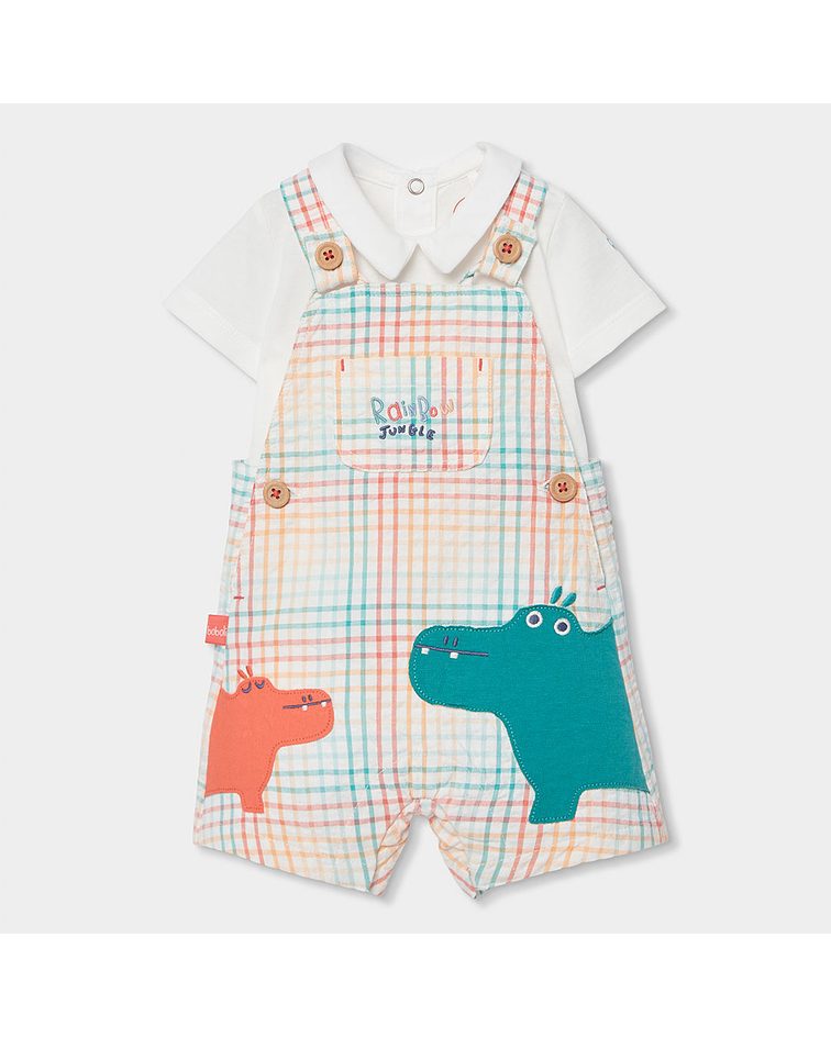 Conjunto combinado do bébé -BCI | quadros