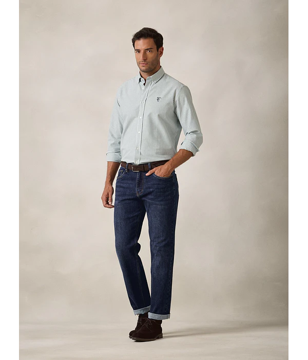 Camisa Oxford Riscas - Verde Abeto
