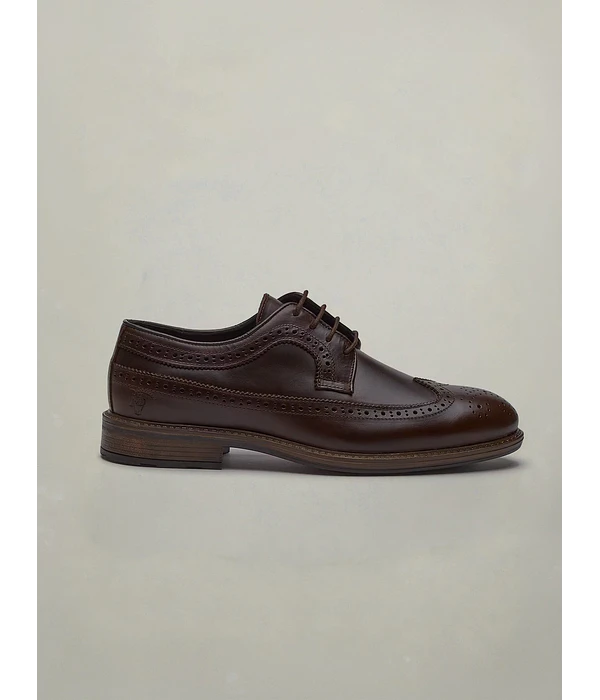 Sapato Oxford