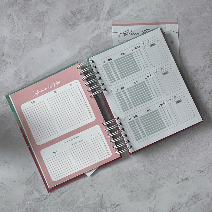 Psico Planner Rosa 4