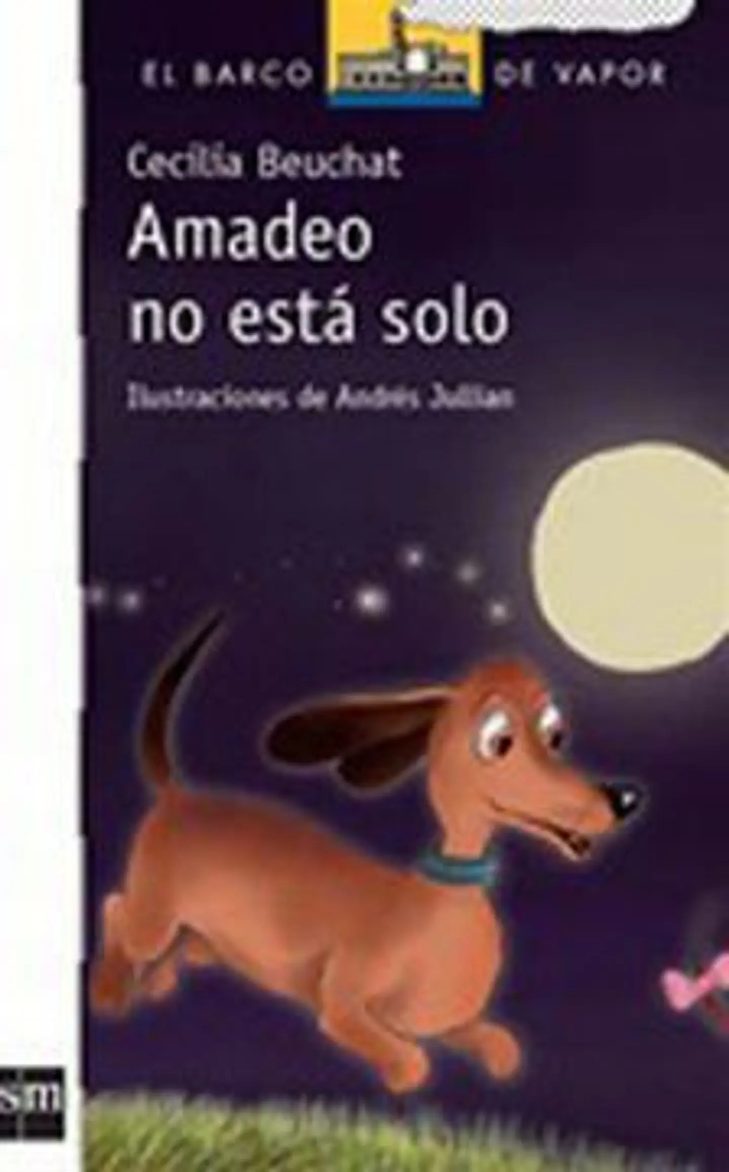 AMADEO NO ESTA SOLO 1