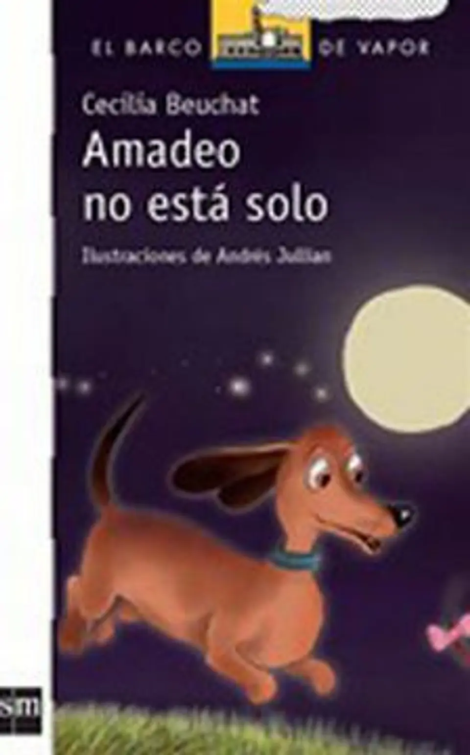 AMADEO NO ESTA SOLO 1