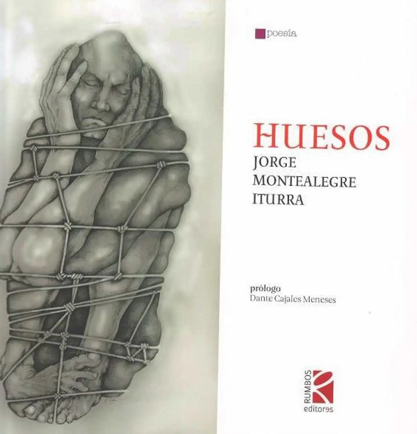 HUESOS 1