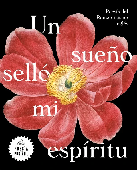 UN SUEÑO SELLO MI ESPIRITU