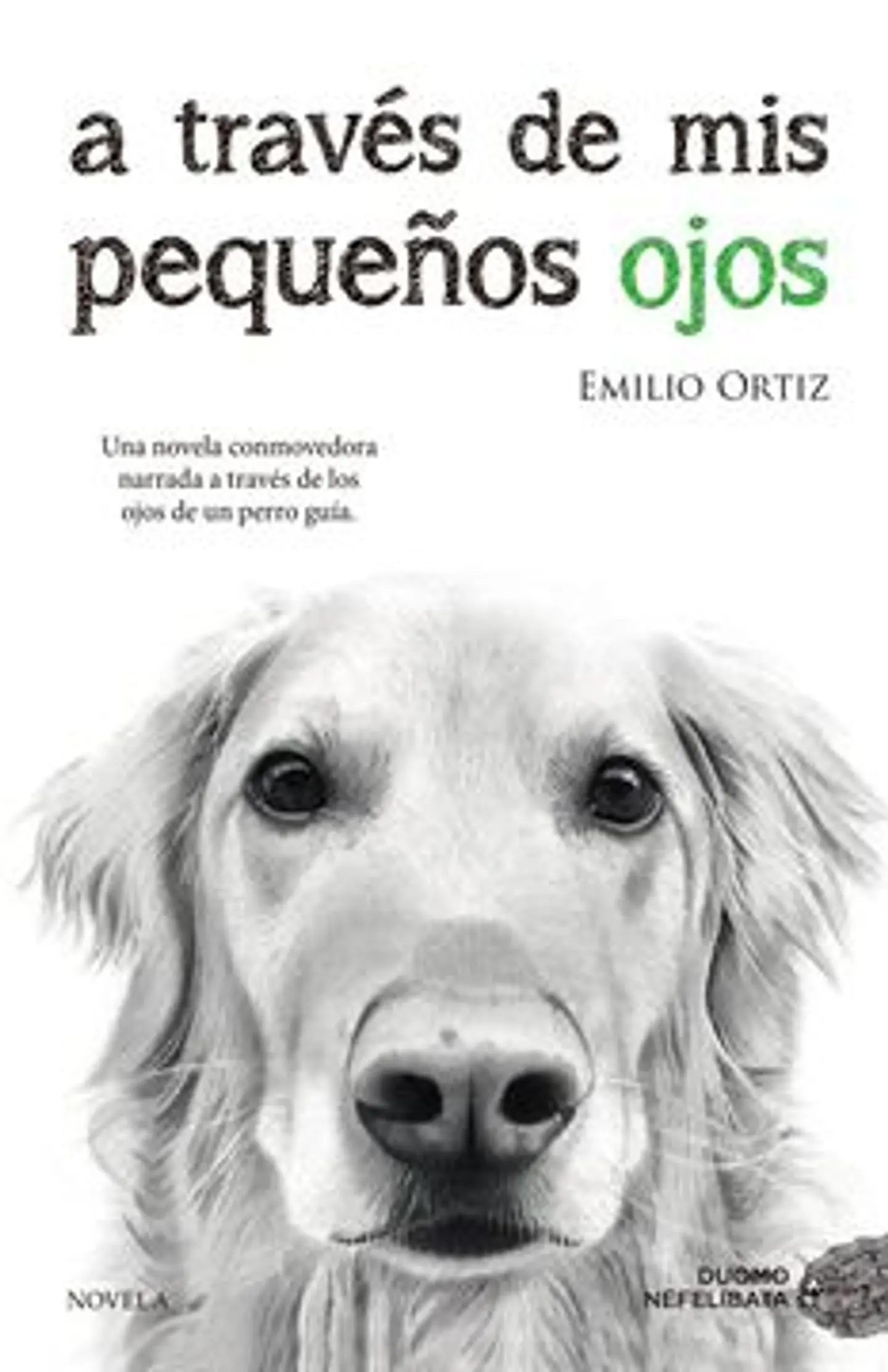 A TRAVES DE MIS PEQUEÑOS OJOS 1