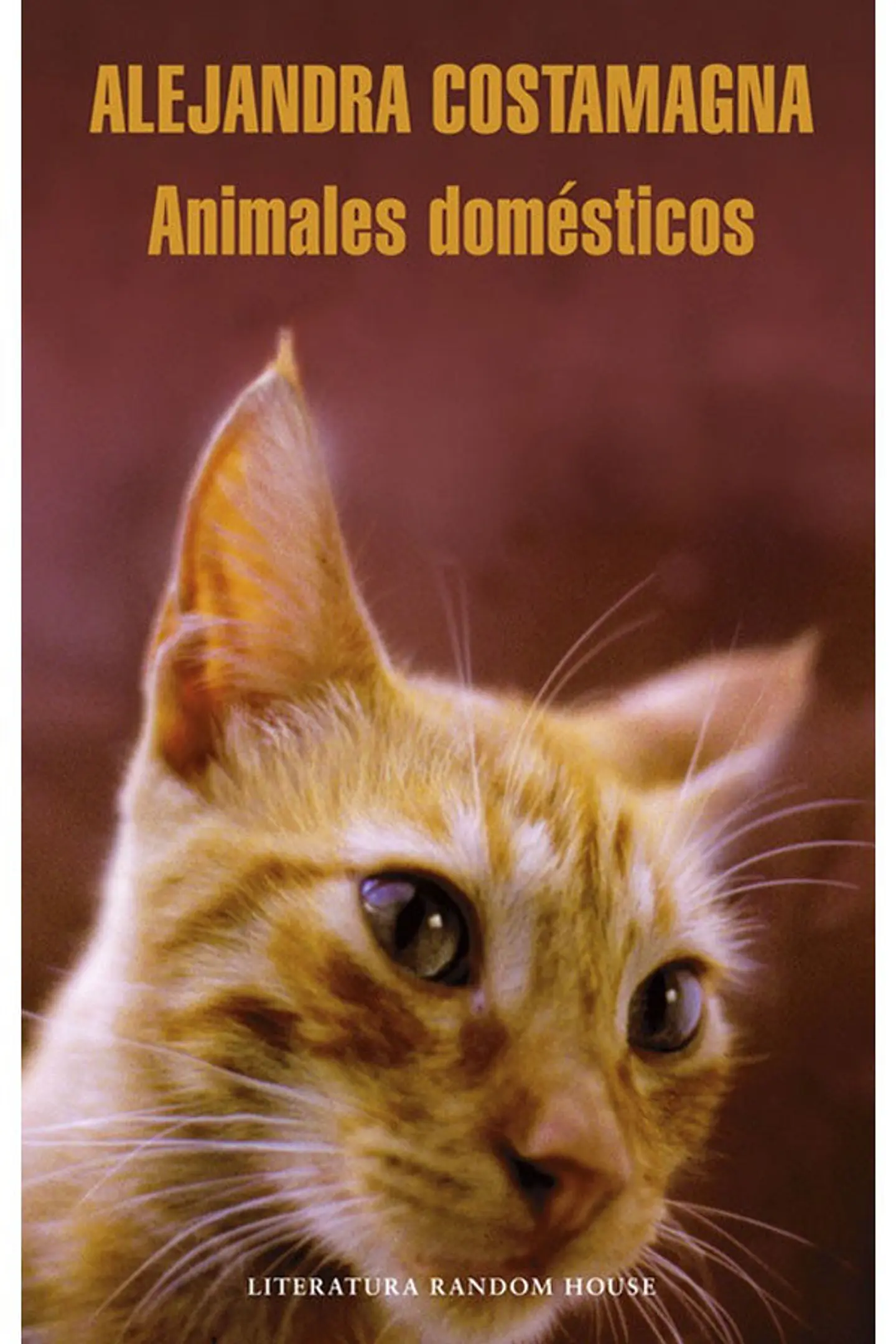 ANIMALES DOMESTICOS 1