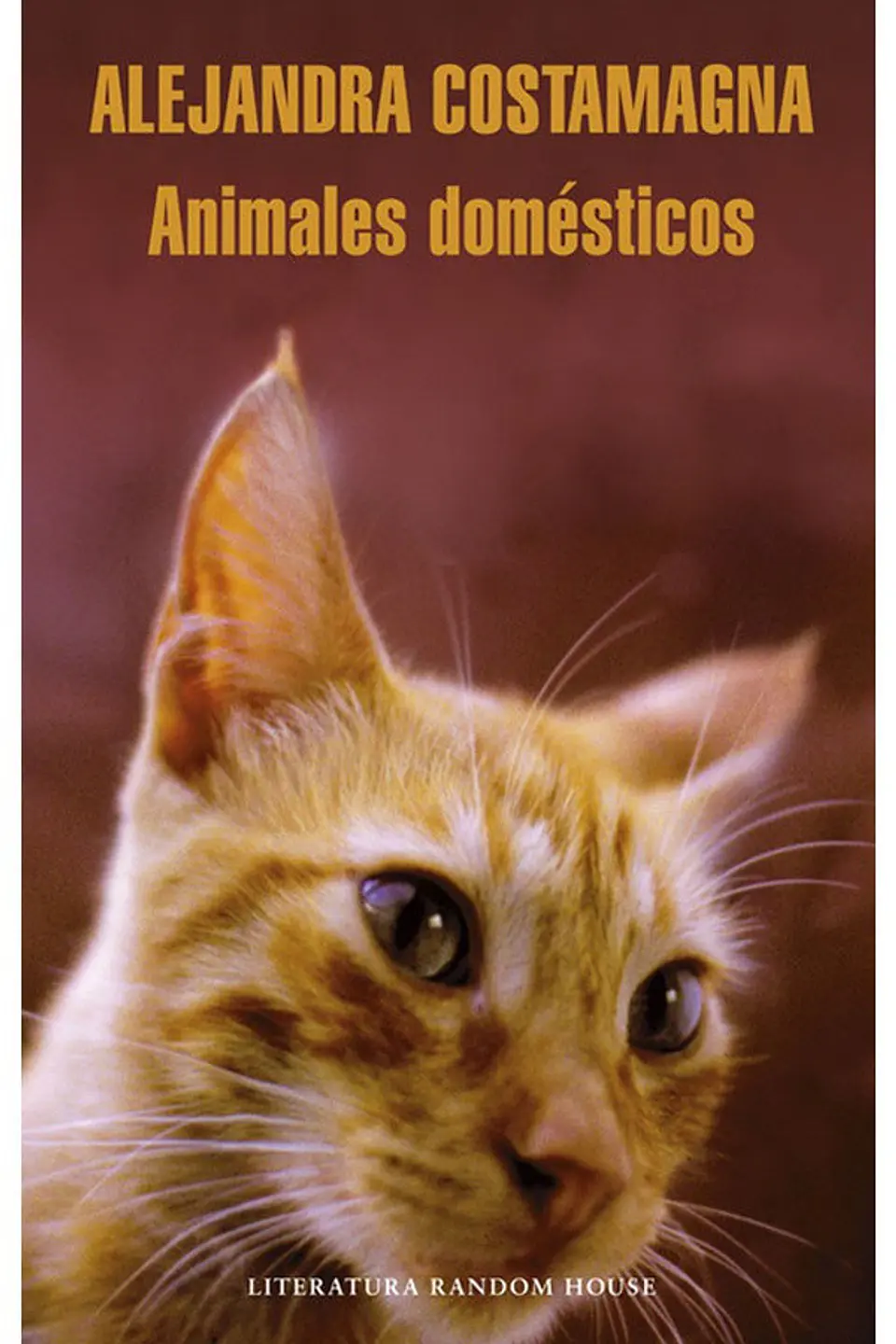ANIMALES DOMESTICOS 1