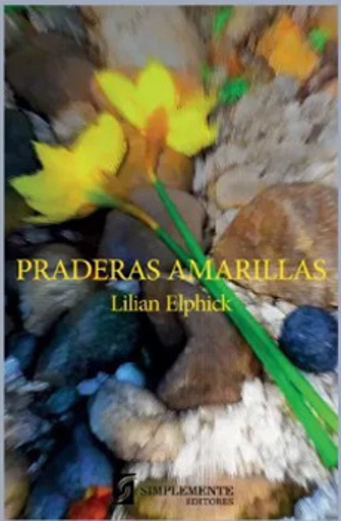 PRADERAS AMARILLAS