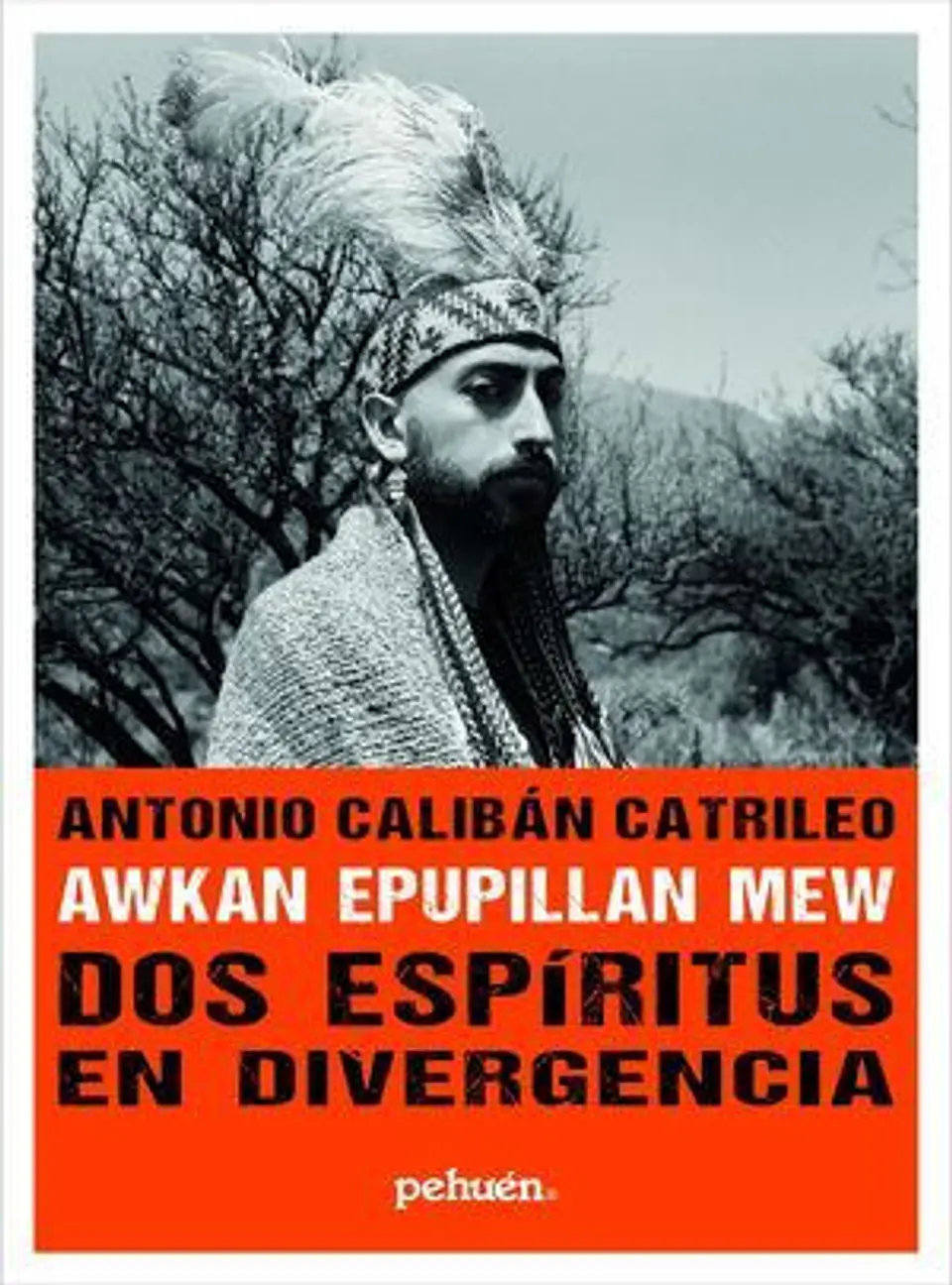 AWKAN EPUPILLAN MEW. DOS ESPIRITUS EN DIVERGENCIA 1
