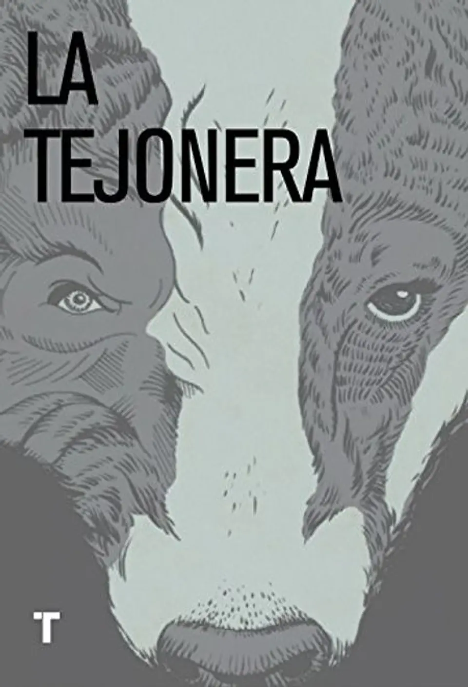 LA TEJONERA 1