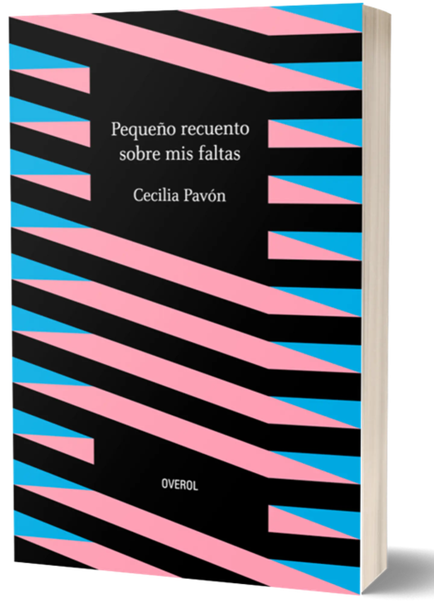 PEQUEÑOS RECUERDOS SOBRE MIS FALTAS 1