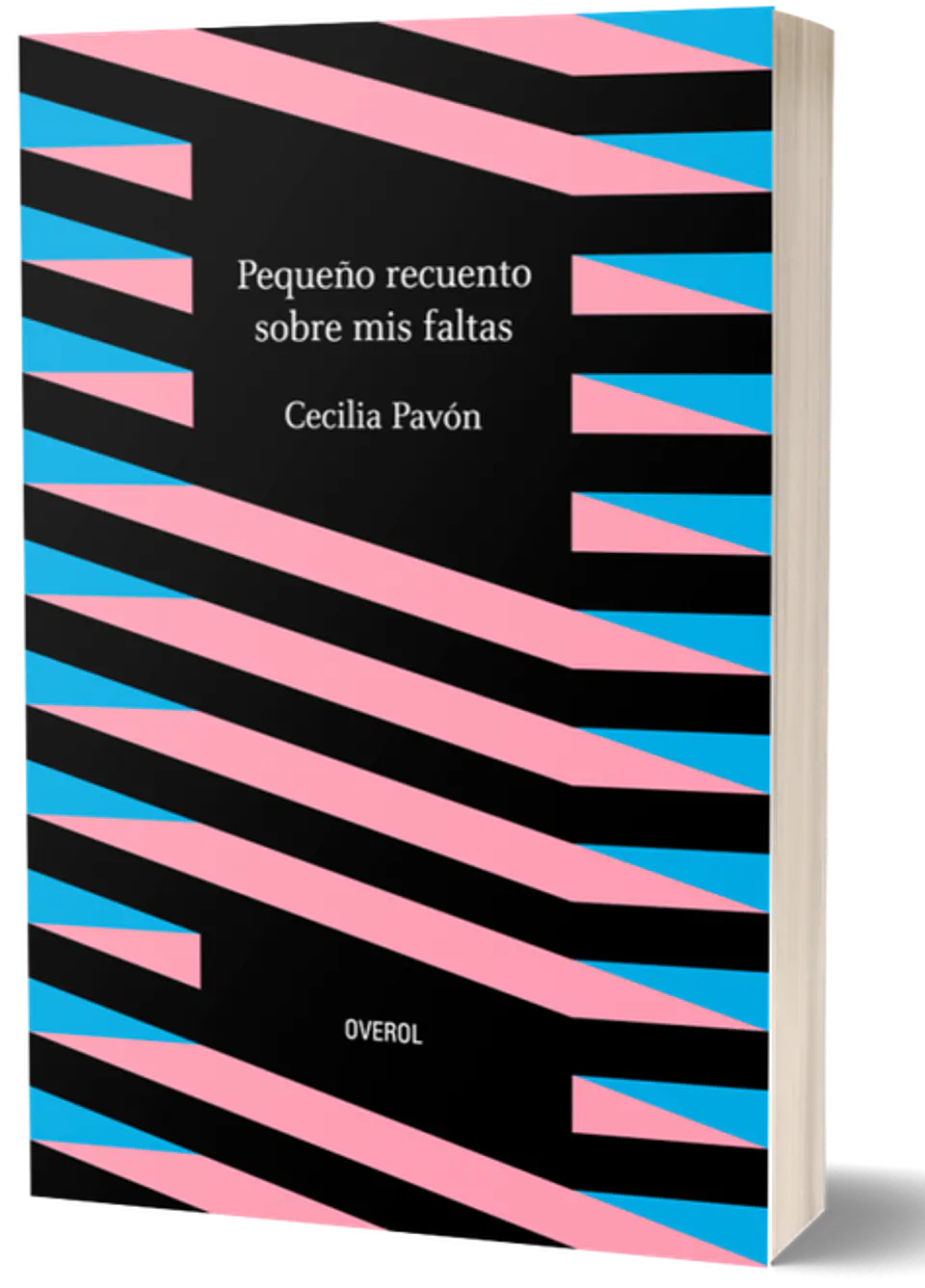 PEQUEÑOS RECUERDOS SOBRE MIS FALTAS 1