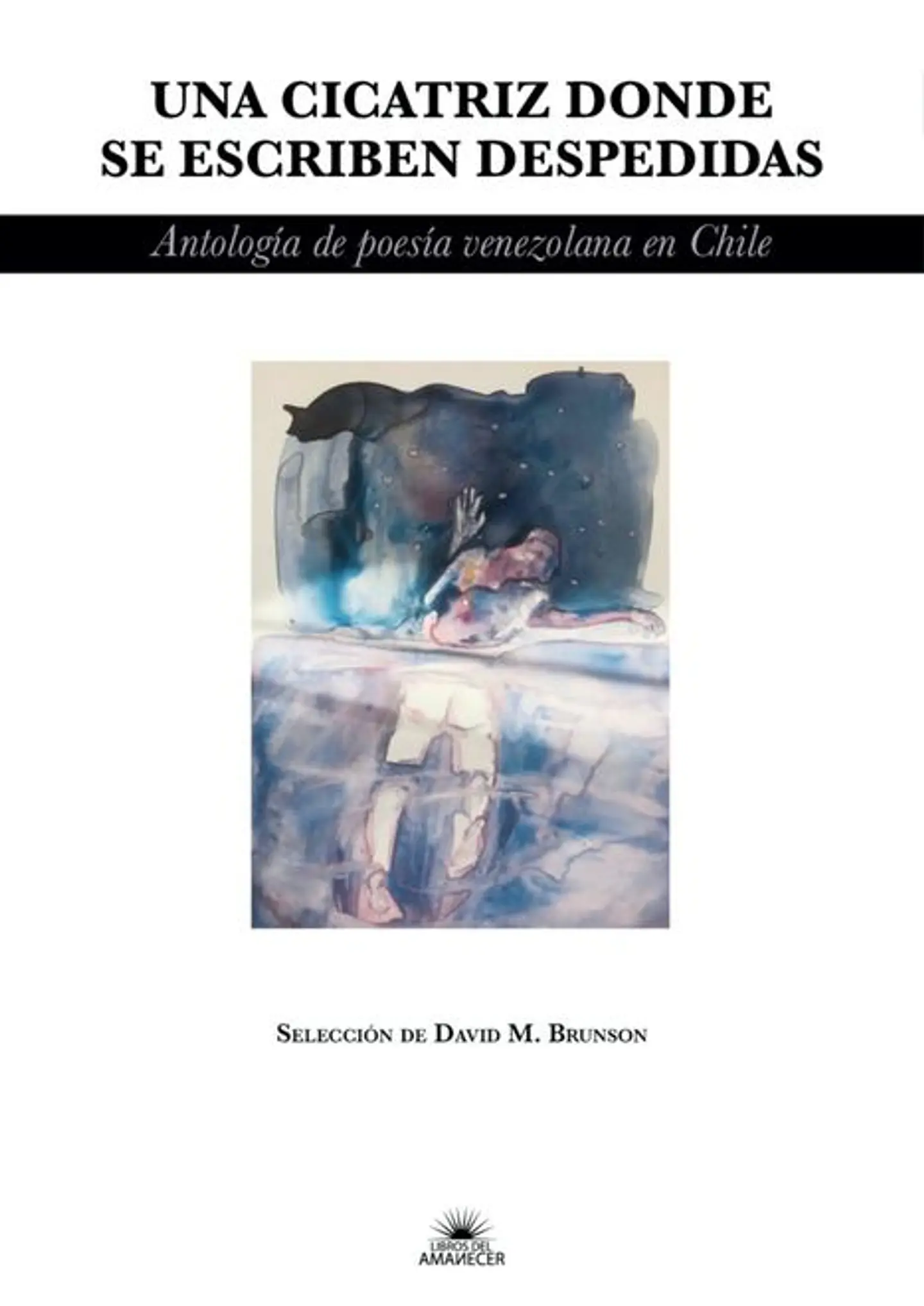 UNA CICATRIZ DONDE SE ESCRIBEN DESPEDIDAS 1
