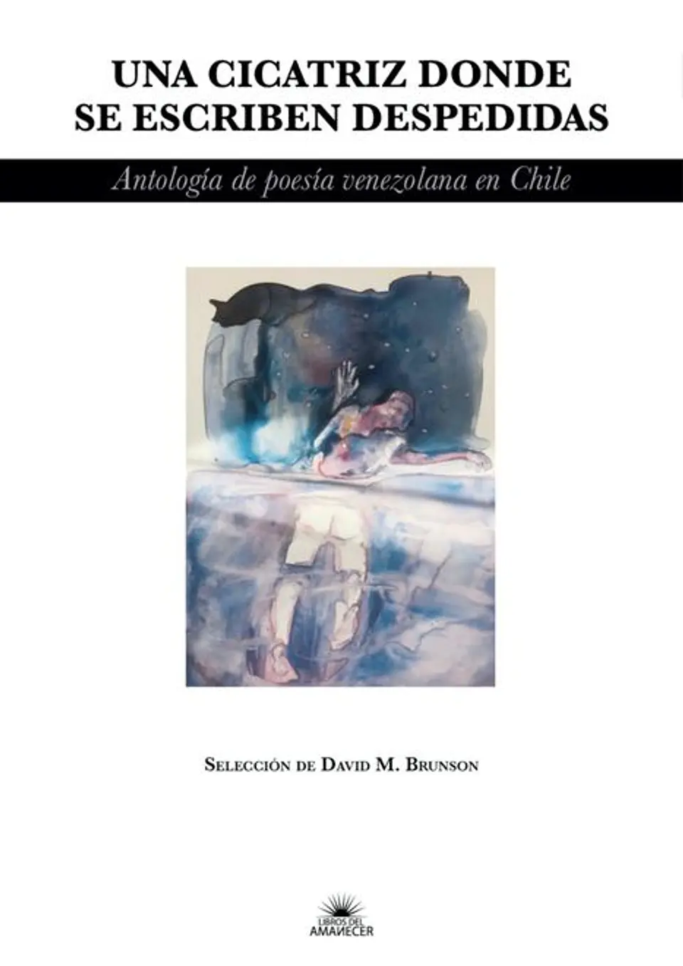 UNA CICATRIZ DONDE SE ESCRIBEN DESPEDIDAS 1