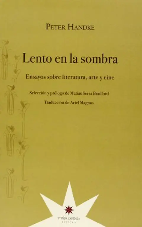 LENTO EN LA SOMBRA. ENSAYOS SOBRE LITERATURA ARTE Y CINE