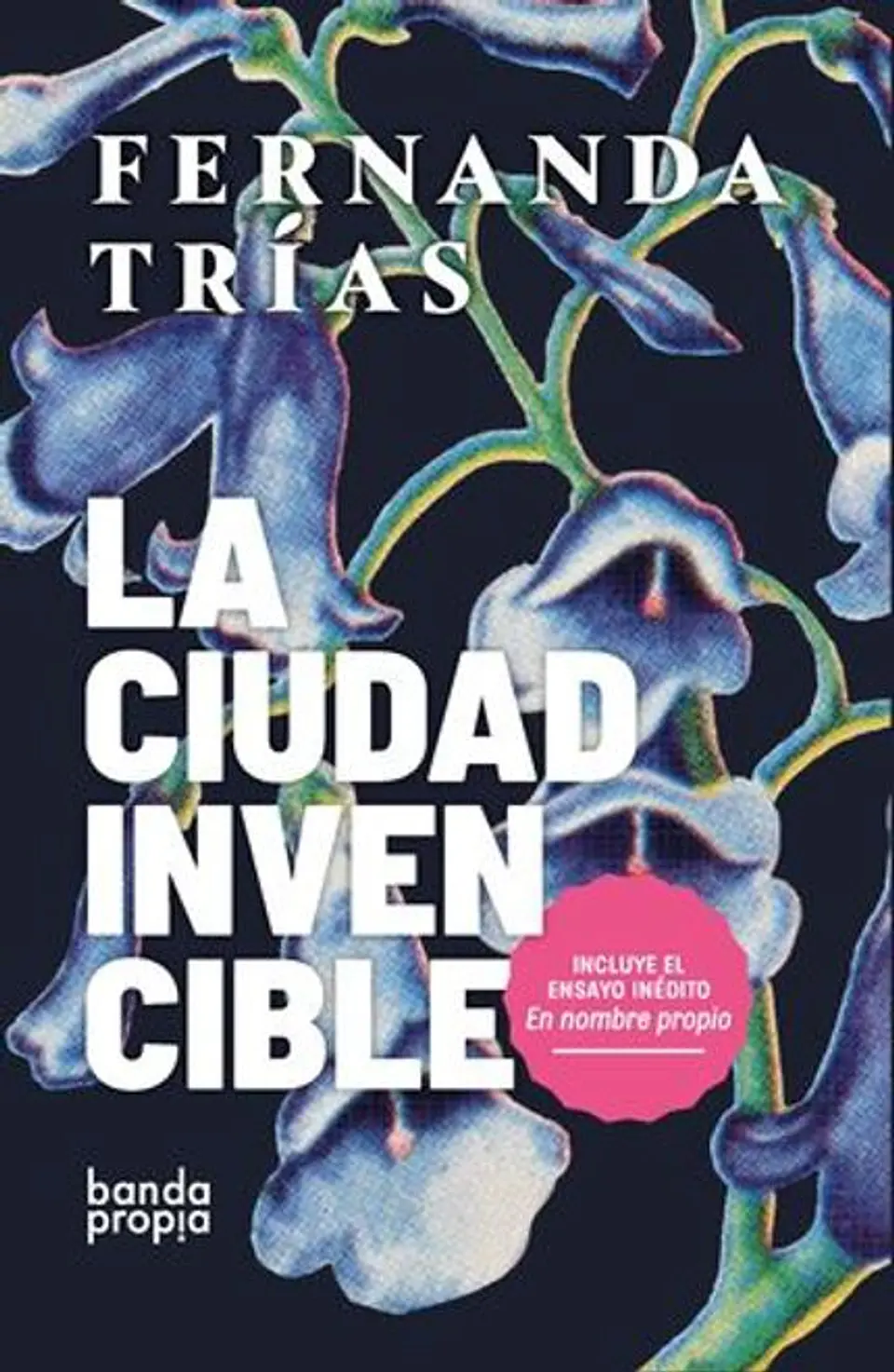 LA CIUDAD INVENCIBLE 1
