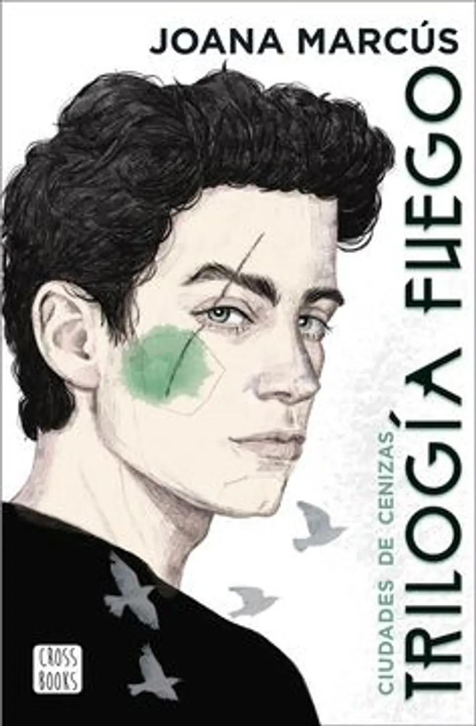 CIUDADES DE CENIZAS TRILOGIA FUEGO 2 1