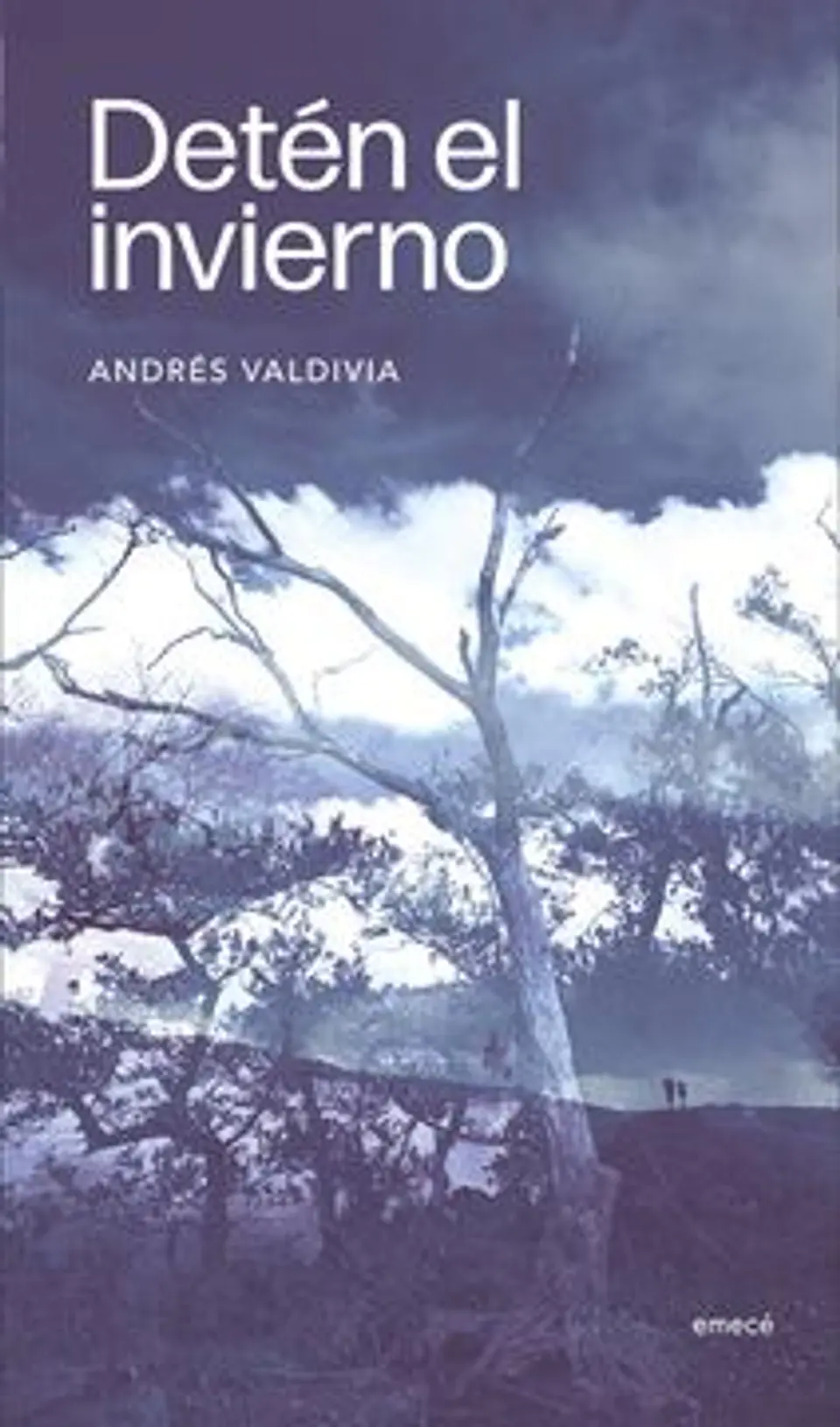 DETEN EL INVIERNO 1