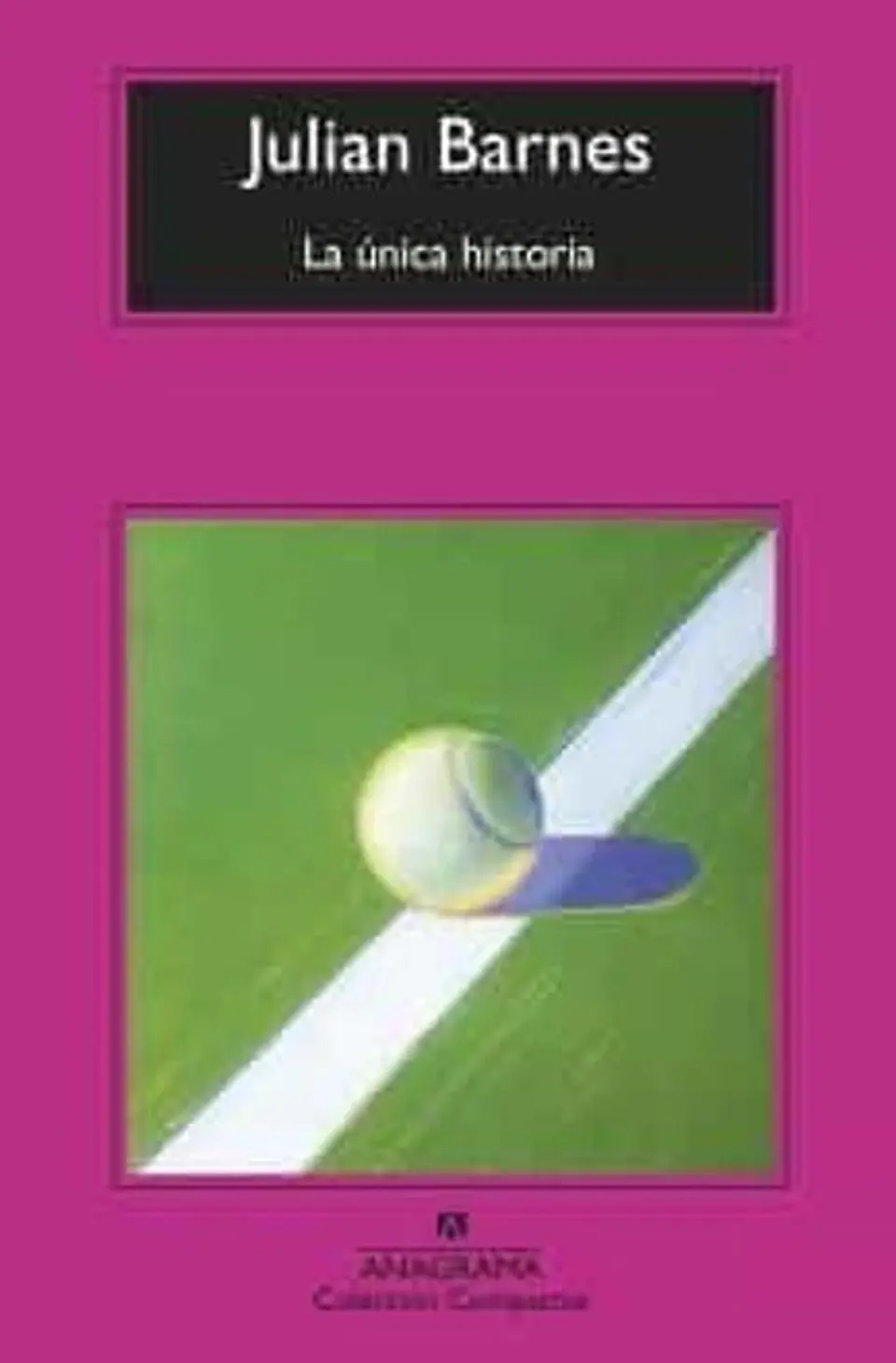 LA UNICA HISTORIA 1