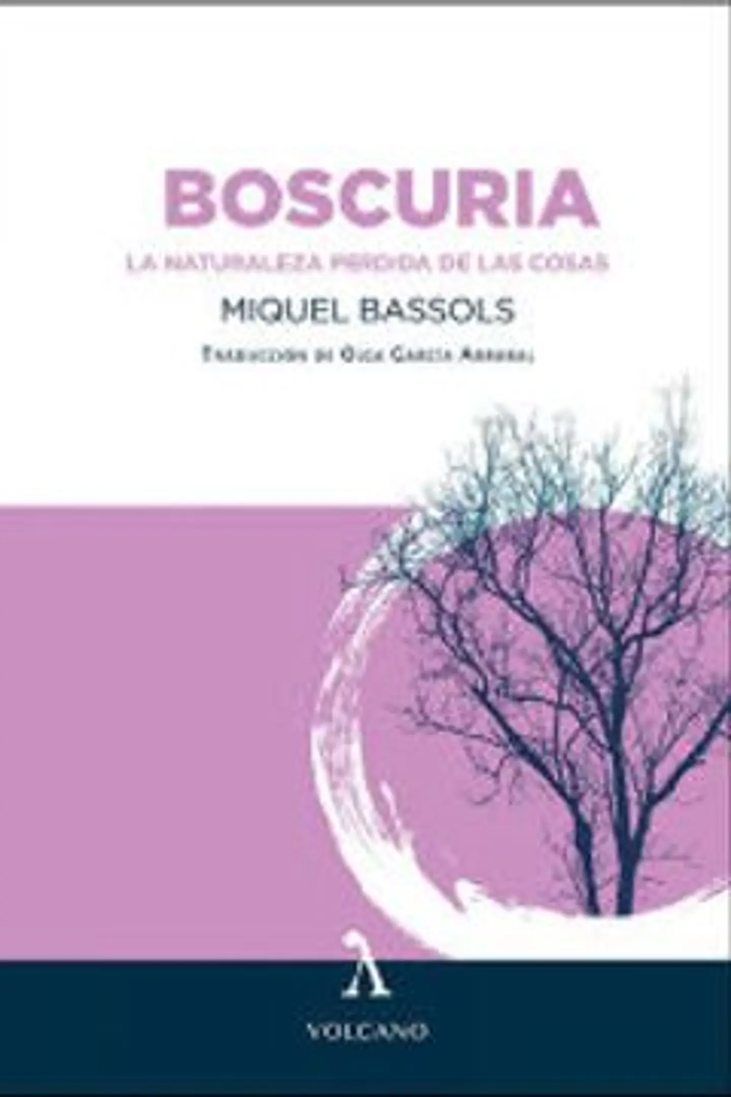 BOSCURIA 1