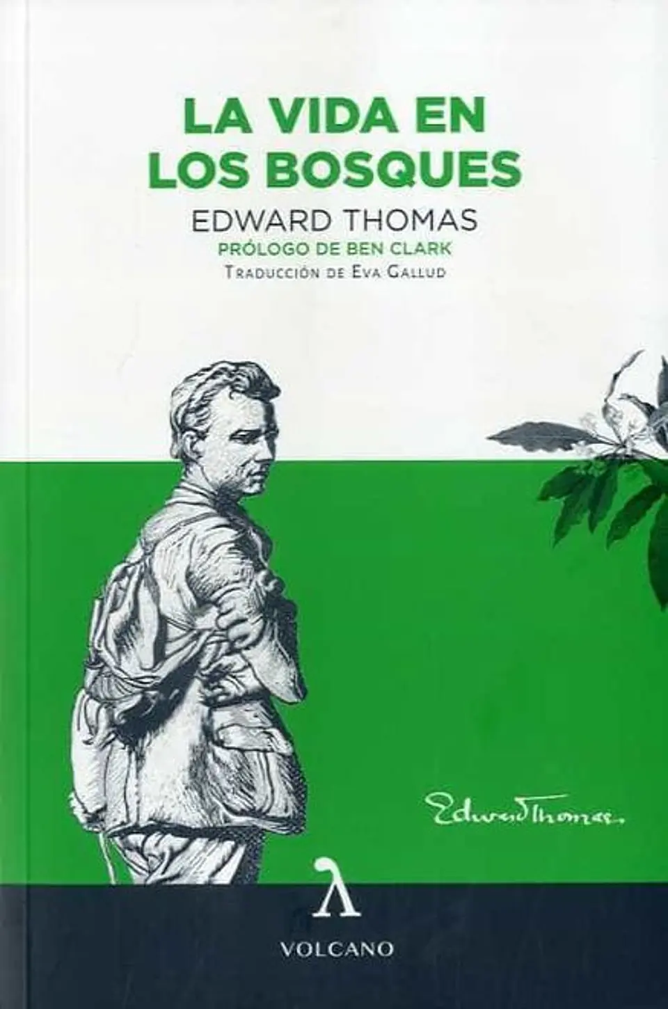 LA VIDA EN LOS BOSQUES 1