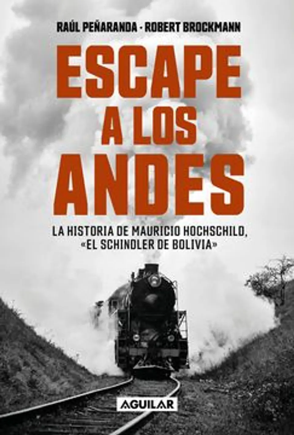 ESCAPE A LOS ANDES 1