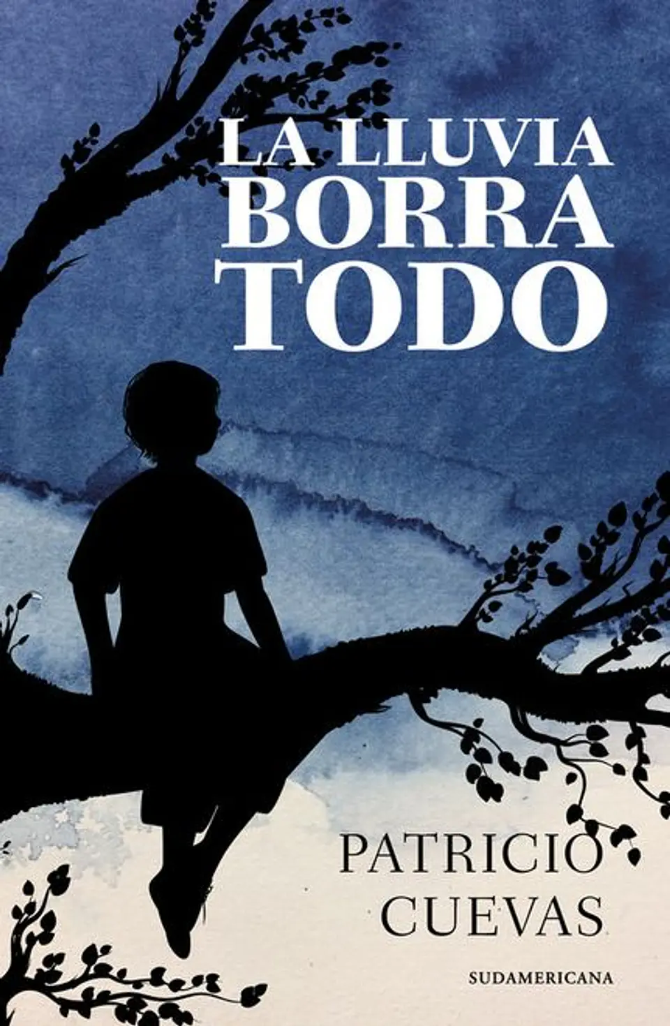 LA LLUVIA BORRA TODO 1
