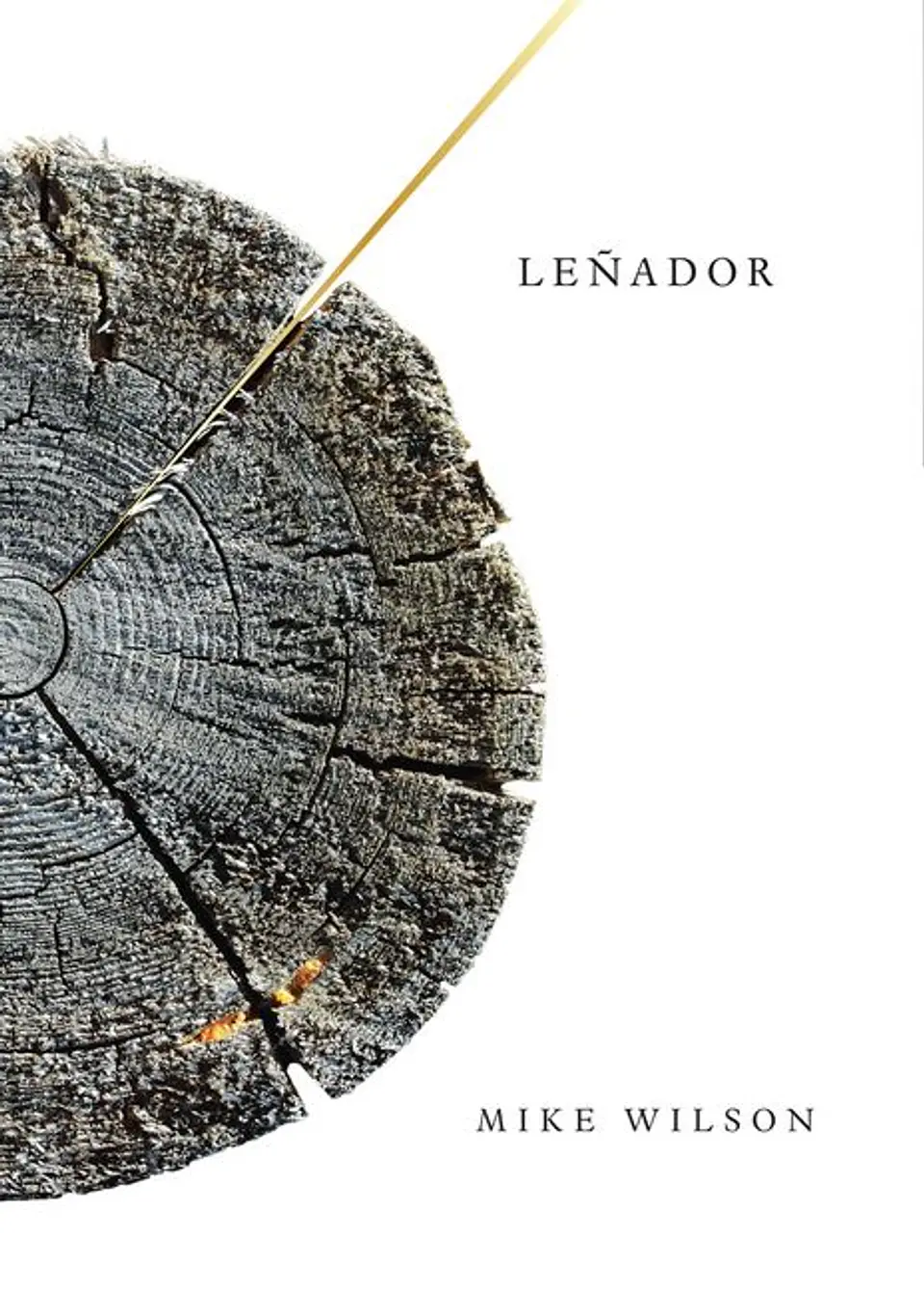 LEÑADOR 1