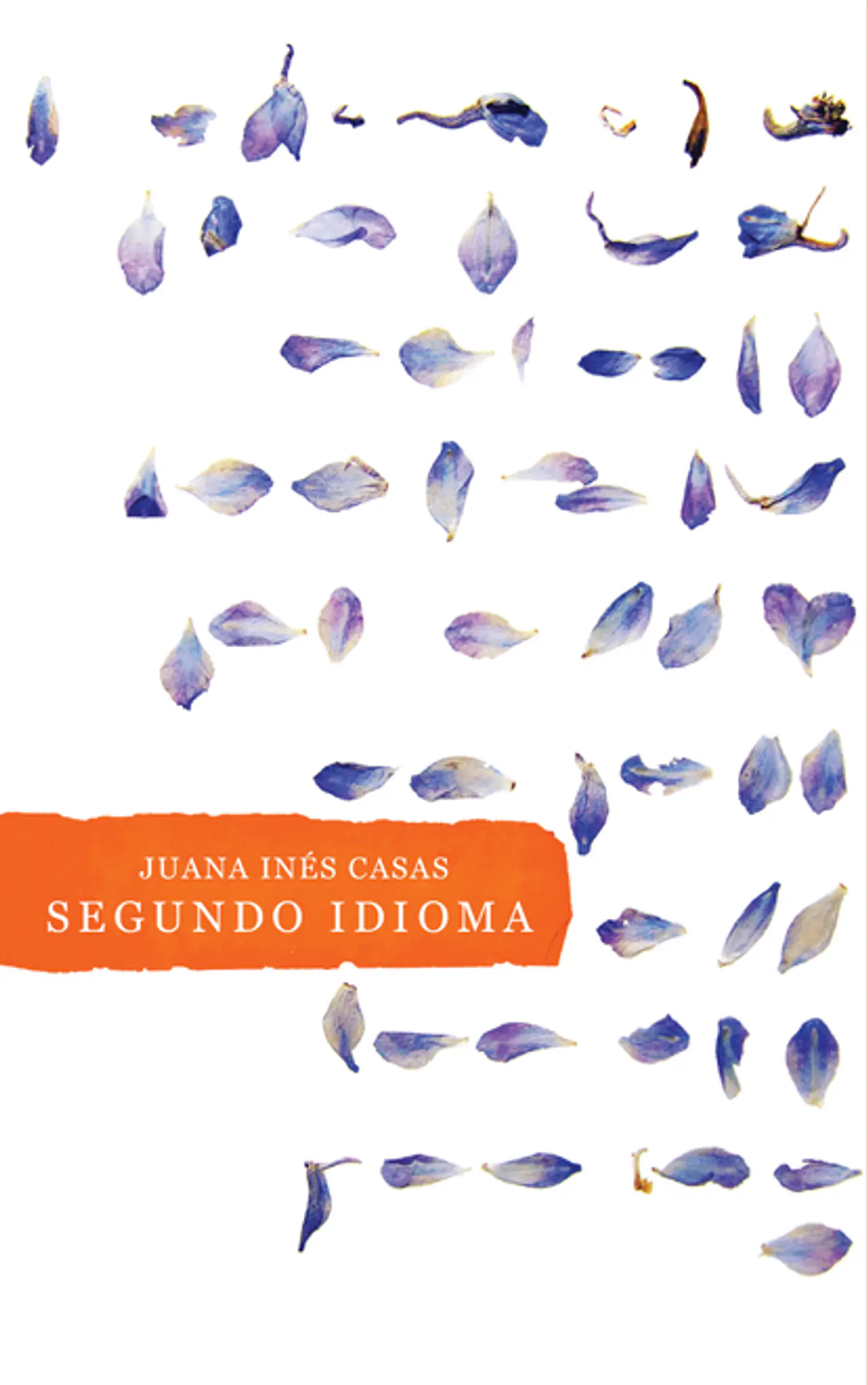 SEGUNDO IDIOMA 1