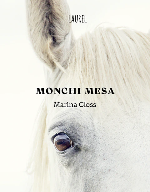 MONCHI MESA